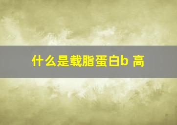 什么是载脂蛋白b 高